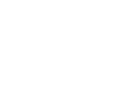 Analogic Engineering